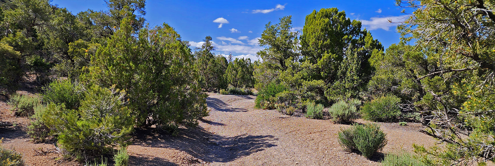 Main Canyon Approach Trail Joins Larger North Trail Skirting Foothills Above Lovell Canyon | Little Zion | Rainbow Mountain Wilderness, Nevada