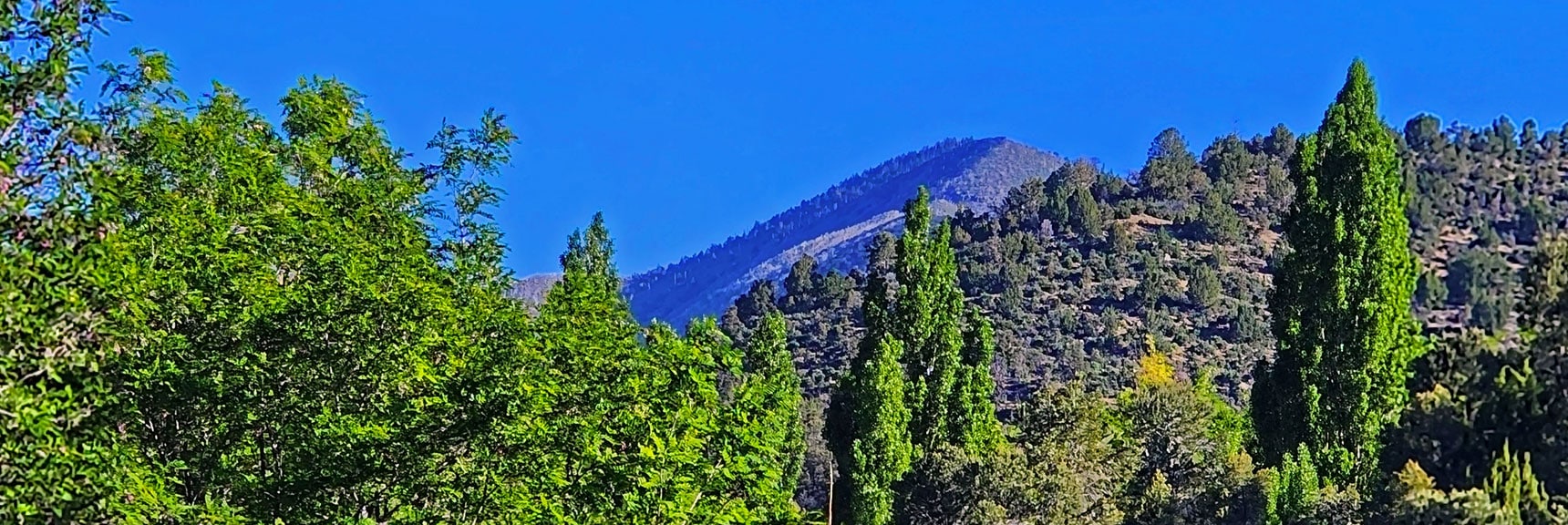 Harris Mountain Visible from Upper End of Lovell Canyon Road. | Wilson Ridge South High Point | Lovell Canyon, Nevada