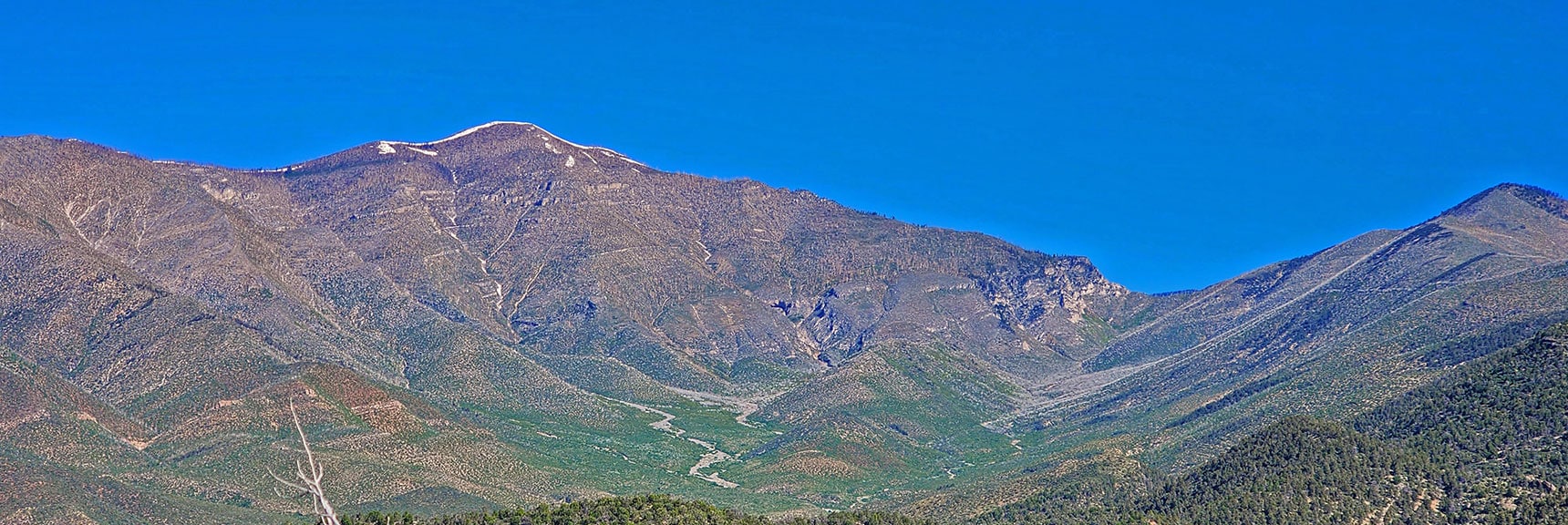 Griffith Peak, Harris Mountain and Saddle Between Above Upper Lovell Canyon | Wilson Ridge South High Point | Lovell Canyon, Nevada