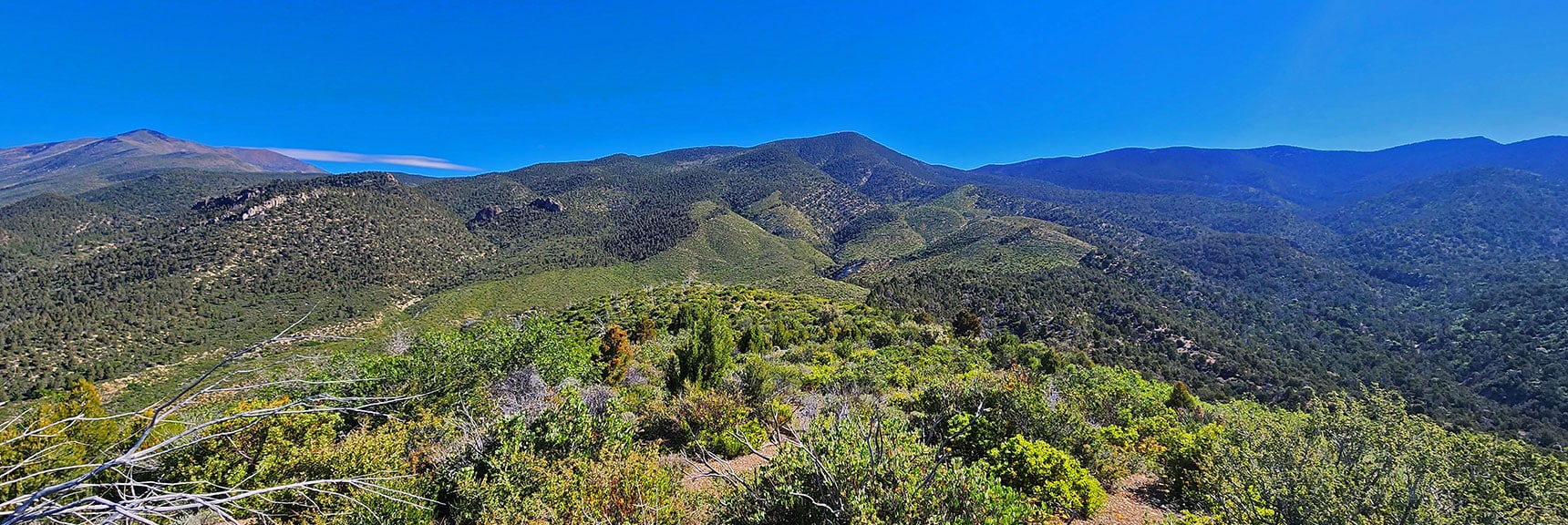 Wilson Ridge South High Point and its Approach Ridges. North Ridge to Left is Choked with Brush! | Wilson Ridge South High Point | Lovell Canyon, Nevada