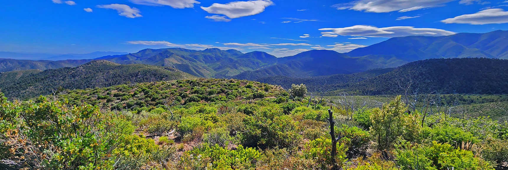 View Back Down the Approach Ridge from Midway | Wilson Ridge South High Point | Lovell Canyon, Nevada
