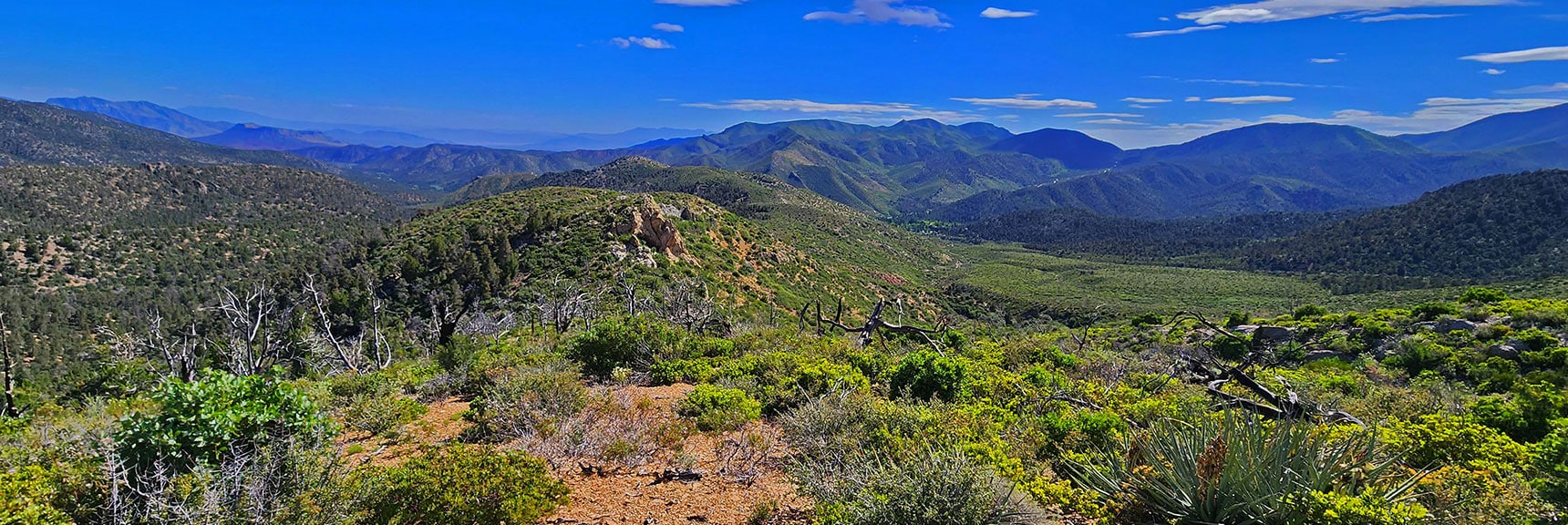 Higher View Down the Approach Ridge. No Significant Brush Here, Unlike the North Approach Ridge | Wilson Ridge South High Point | Lovell Canyon, Nevada