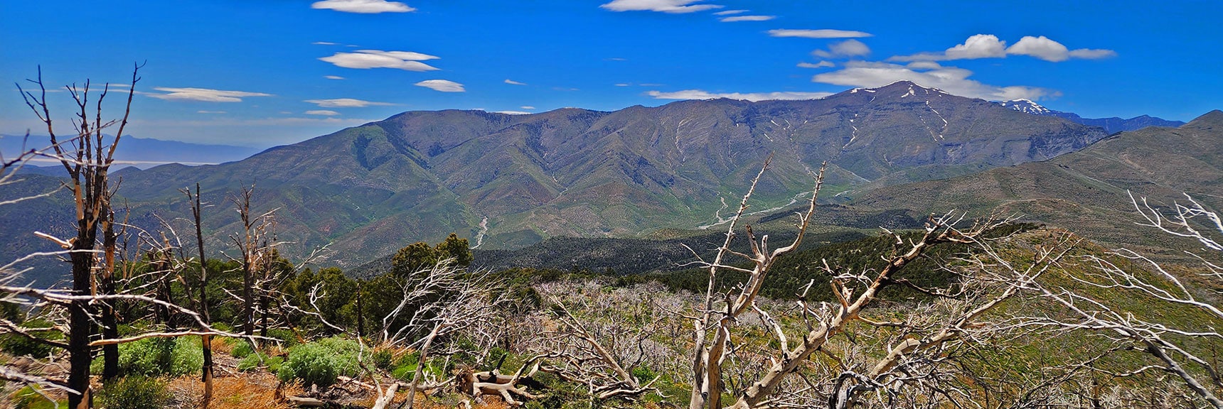 Sexton Ridge Ascending to Griffith Peak. Tip of Charleston Peak to Right. | Wilson Ridge South High Point | Lovell Canyon, Nevada