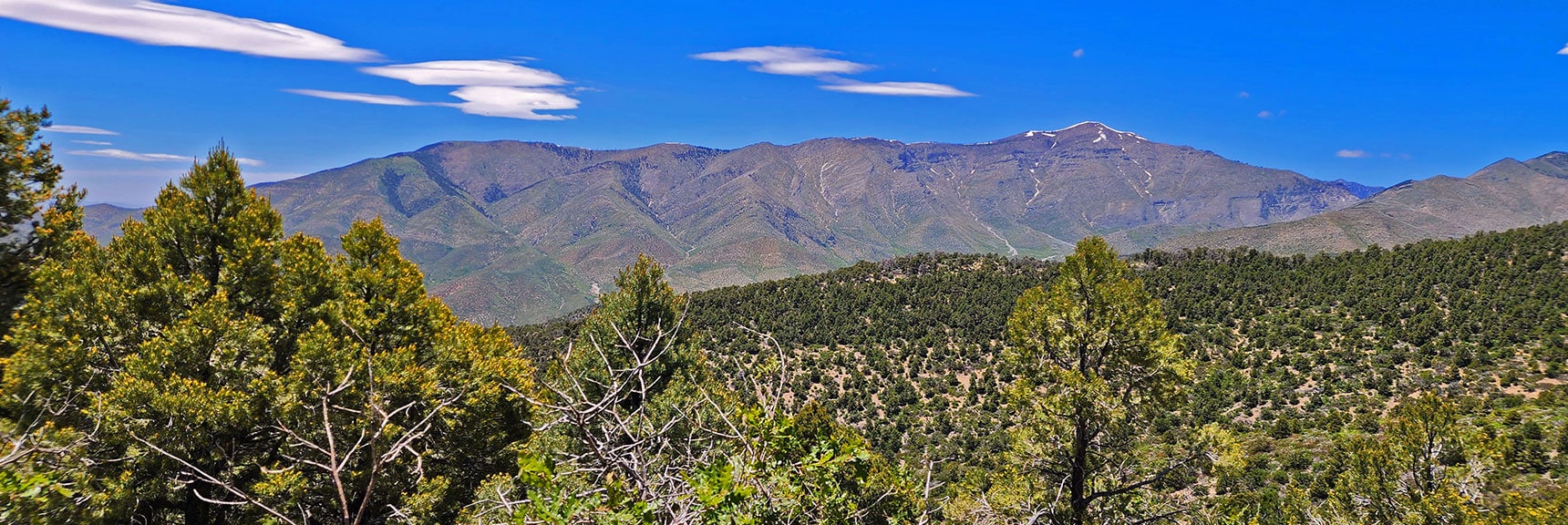 Sexton Ridge to Griffith Peak. Now on North Approach Ridge Below High Point. | Wilson Ridge South High Point | Lovell Canyon, Nevada