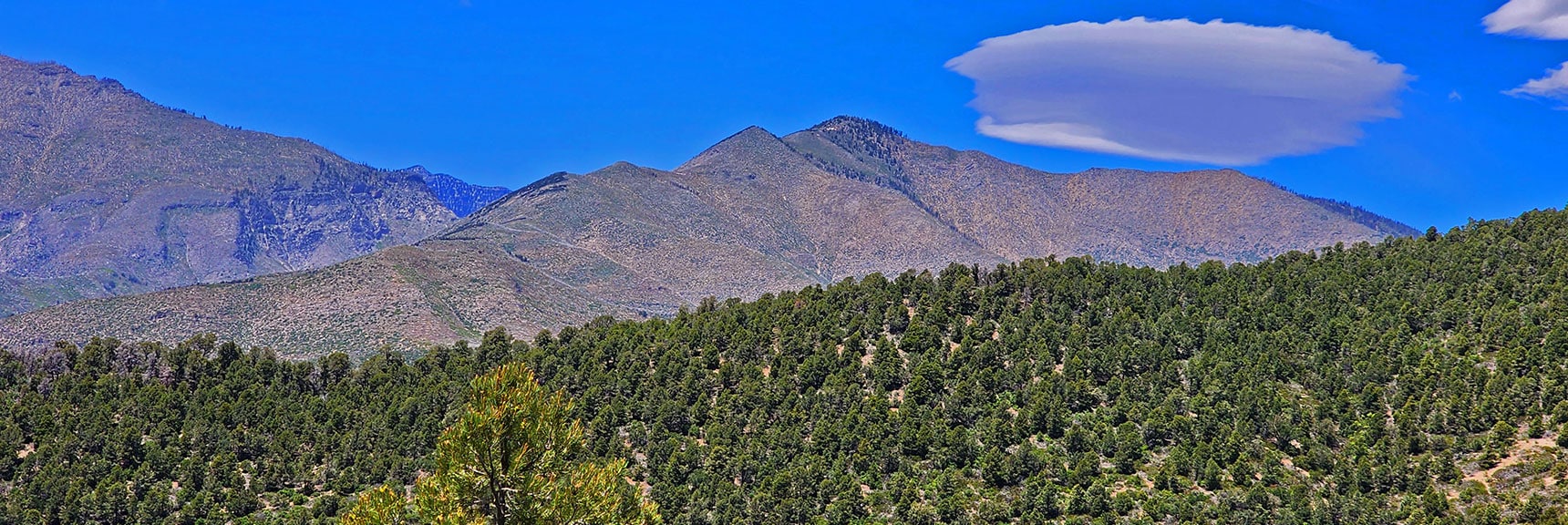 Wilson Ridge to Harris Mountain. See Faint Line of Harris Mt. Road Crossing the Ridge. | Wilson Ridge South High Point | Lovell Canyon, Nevada