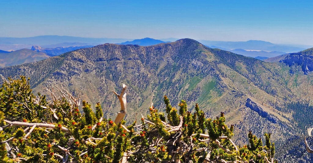 Harris Mountain Triangle | Mt Charleston Wilderness, Nevada