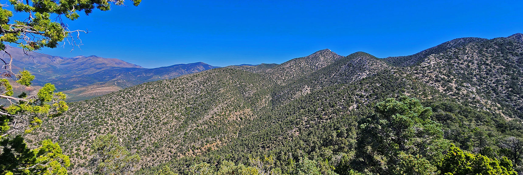Wilson Ridge Stretching North Toward the Southern High Point. | Red Rock Summit | Lovell Canyon & Rainbow Mountain Wilderness, Nevada
