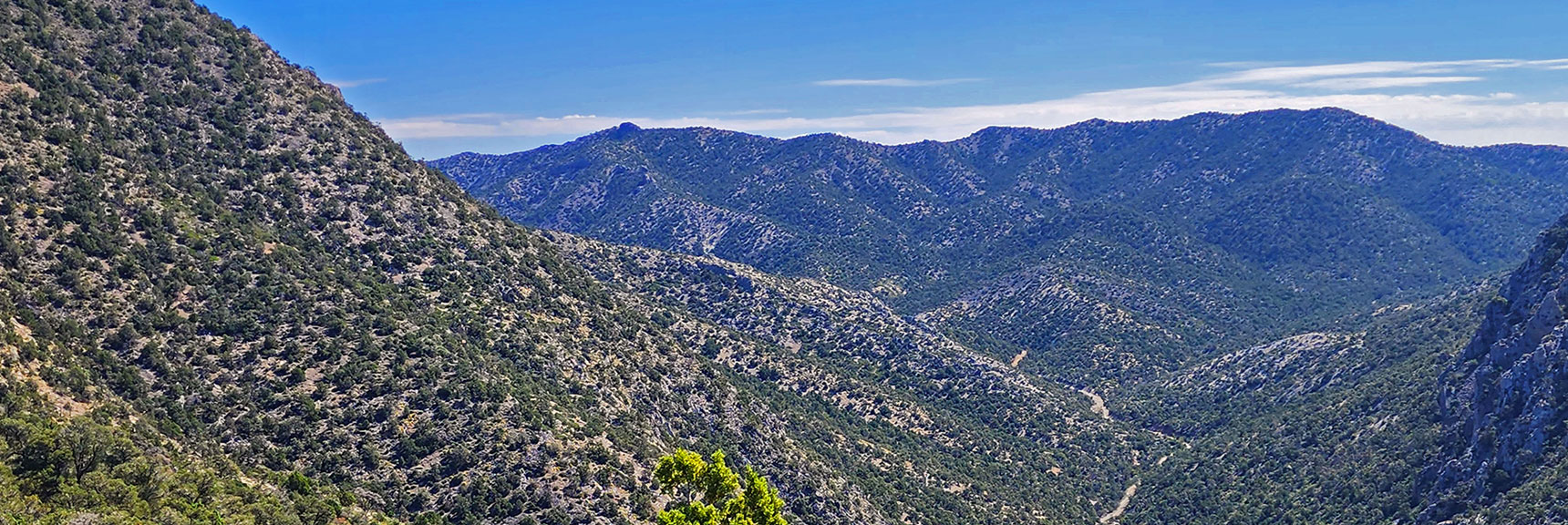 View Down Rocky Gap Road Toward the Rainbow Mts. Upper Crest Ridgeline (horizon) | Red Rock Summit | Lovell Canyon & Rainbow Mountain Wilderness, Nevada