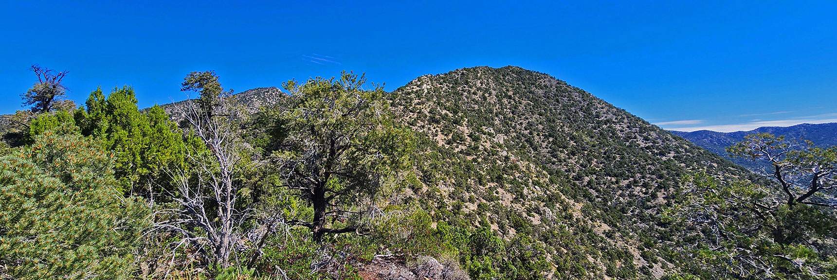 Approaching the Final High Point Before the Wilson Ridgeline. | Red Rock Summit | Lovell Canyon & Rainbow Mountain Wilderness, Nevada