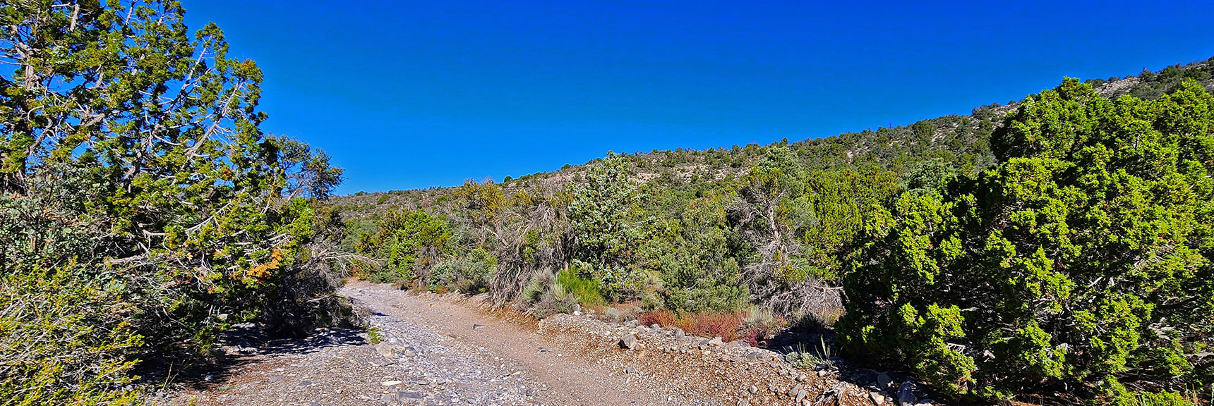 Beginning of Northern Gradual Northern Approach Ridge, Lower Rocky Gap Rd. | Lovell Canyon, Nevada