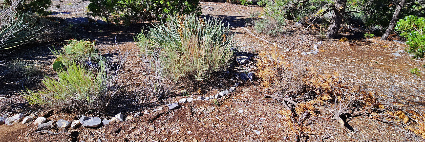 Here's a Camping Spot with Art Work. Camp Here, Climb Bridge Mountain Tomorrow. | Rocky Gap Rd to Bridge Mt Trailhead | Lovell Canyon, Nevada