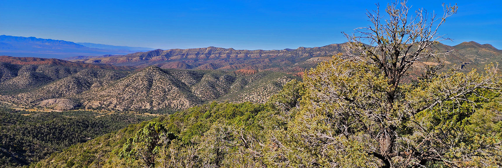 View Down Approach Ridge Across Lovell Canyon | Mini Matterhorn Pinnacle | Wilson Ridge | Lovell Canyon, Nevada