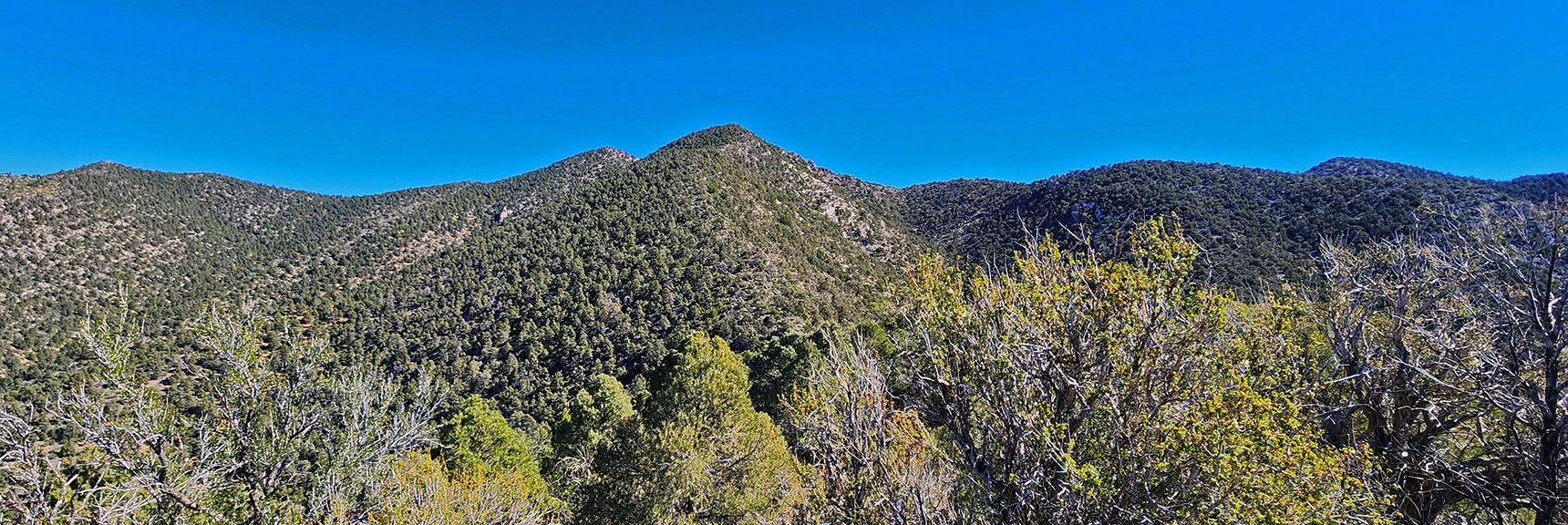 Descent Followed by High Point on Approach Ridge. High Point Summits Reveal Next Stretch. | Mini Matterhorn Pinnacle | Wilson Ridge | Lovell Canyon, Nevada