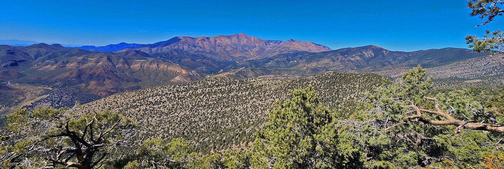 View to Upper Lovell Canyon. | Mini Matterhorn Pinnacle | Wilson Ridge | Lovell Canyon, Nevada