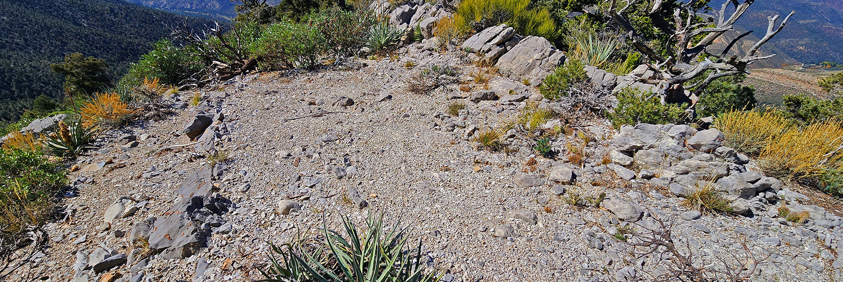Another Possible Dwelling Site, Leveled Area, More Historic. | Mini Matterhorn Pinnacle North Twin | Wilson Ridge | Lovell Canyon & Rainbow Mountains, Nevada