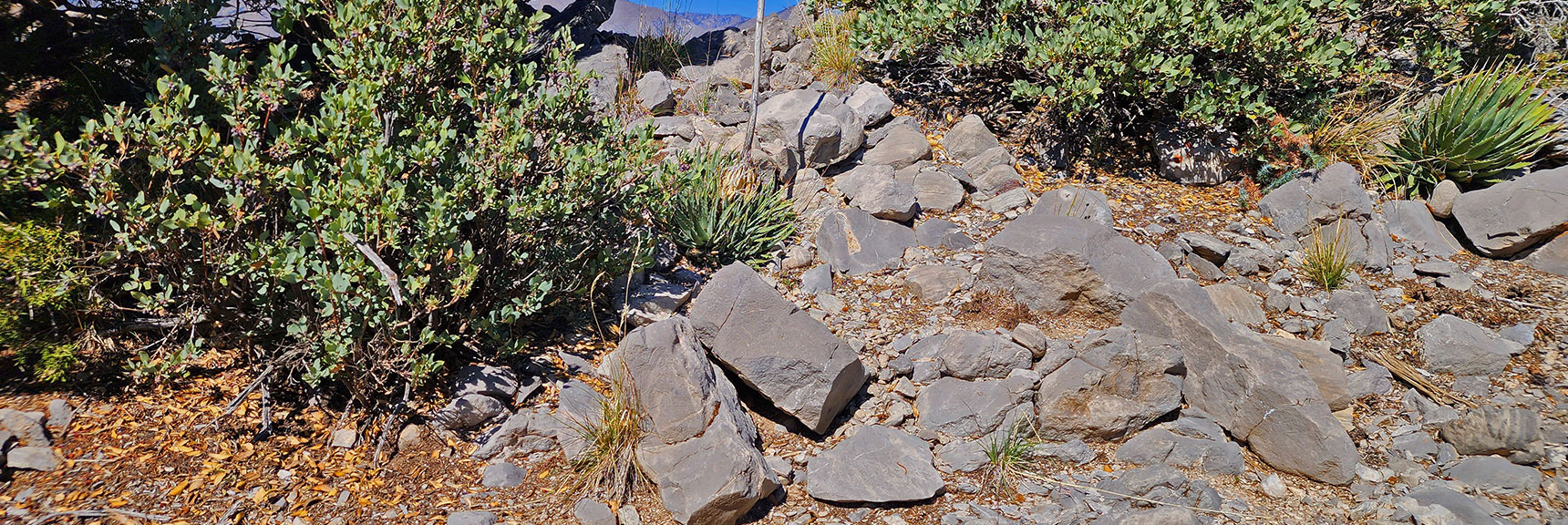 Closer Look at That Stairway. Large Stones were Placed Requiring Significant Effort. | Mini Matterhorn Pinnacle North Twin | Wilson Ridge | Lovell Canyon & Rainbow Mountains, Nevada