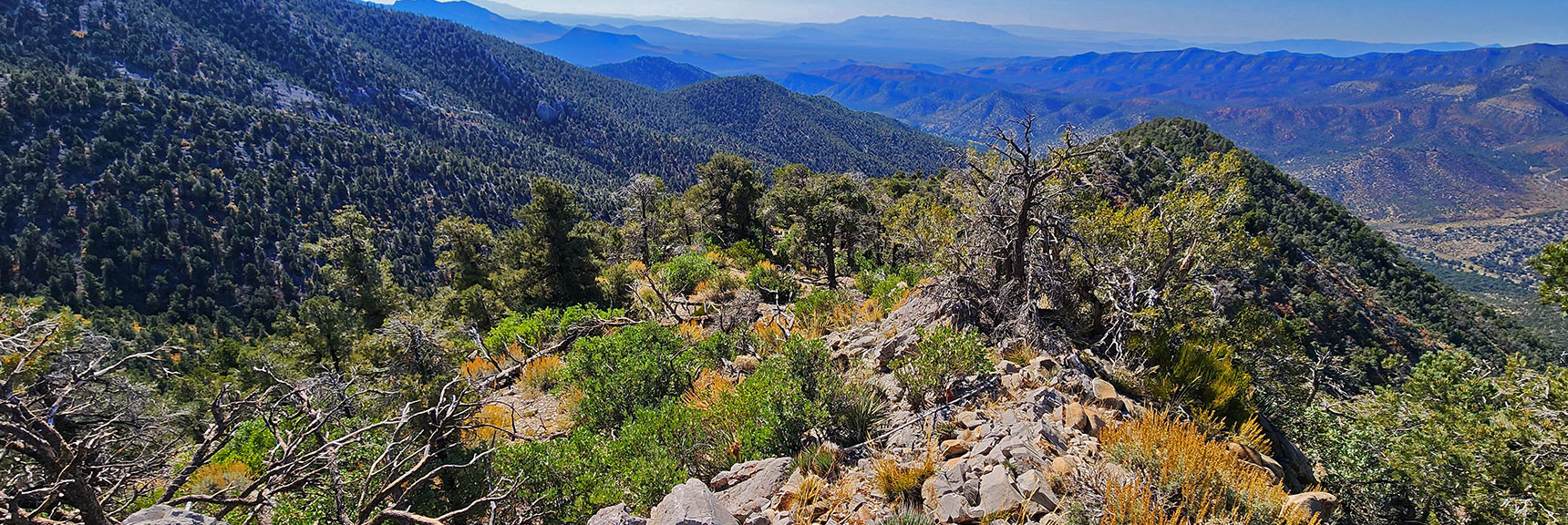 View Back Down the Approach Ridge from the Cairn High Point. | Mini Matterhorn Pinnacle North Twin | Wilson Ridge | Lovell Canyon & Rainbow Mountains, Nevada