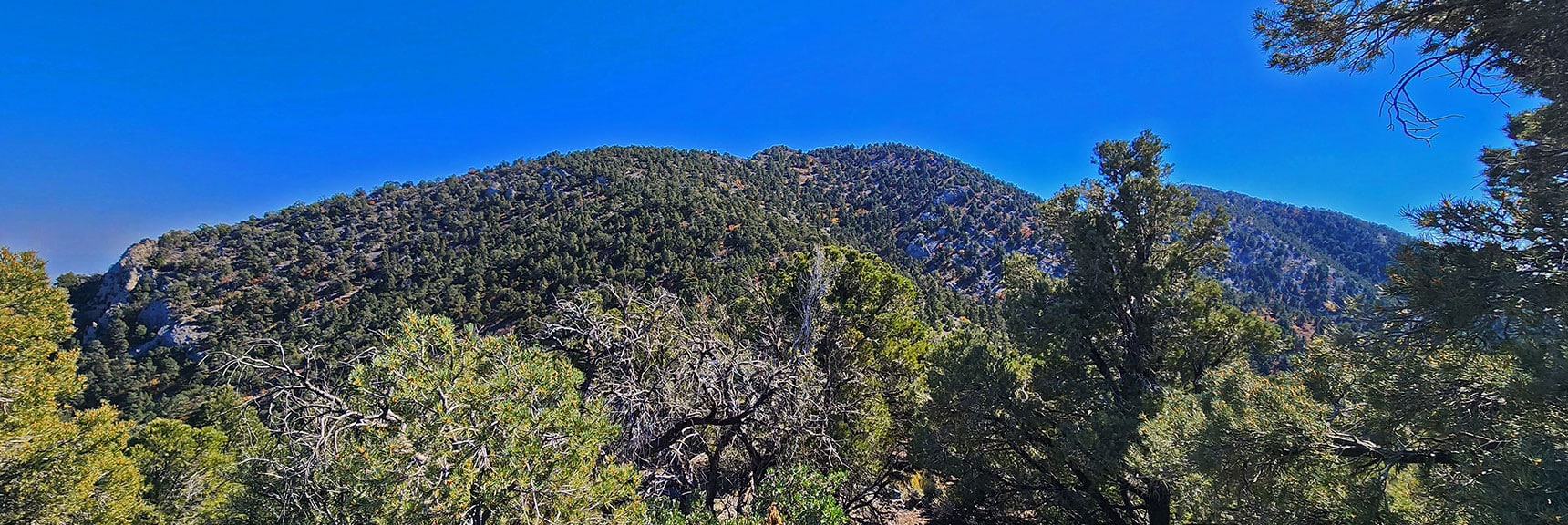 Final Saddle Descent, then Ascent to Wilson Ridge. Very Thick Brush in Saddle! | Mini Matterhorn Pinnacle North Twin | Wilson Ridge | Lovell Canyon & Rainbow Mountains, Nevada