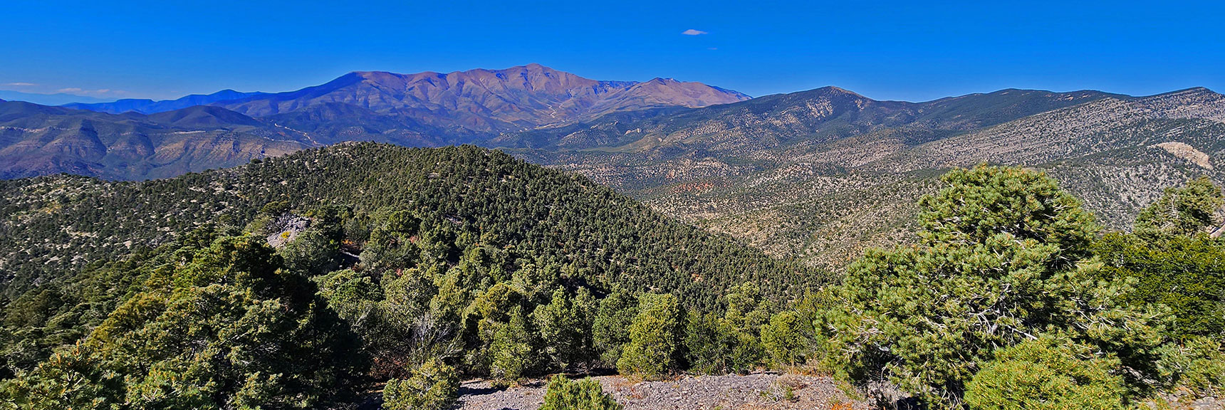 View North to Upper Lovell Canyon, Griffith Peak and Harris Mt. | Mini Matterhorn Pinnacle North Twin | Wilson Ridge | Lovell Canyon & Rainbow Mountains, Nevada
