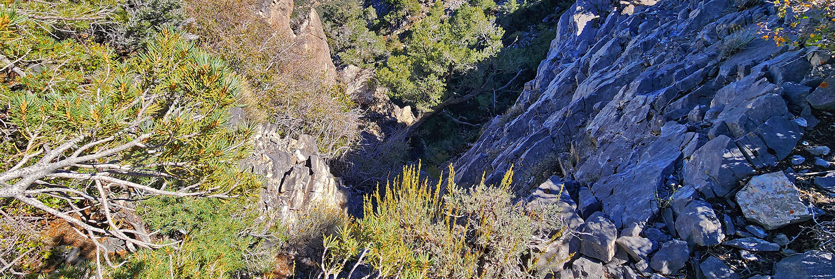 View Down Section of Sheer Head Wall on East (right) Side of Wilson Ridge | Red Rock Summit Loop | Wilson Ridge | Lovell Canyon, Nevada
