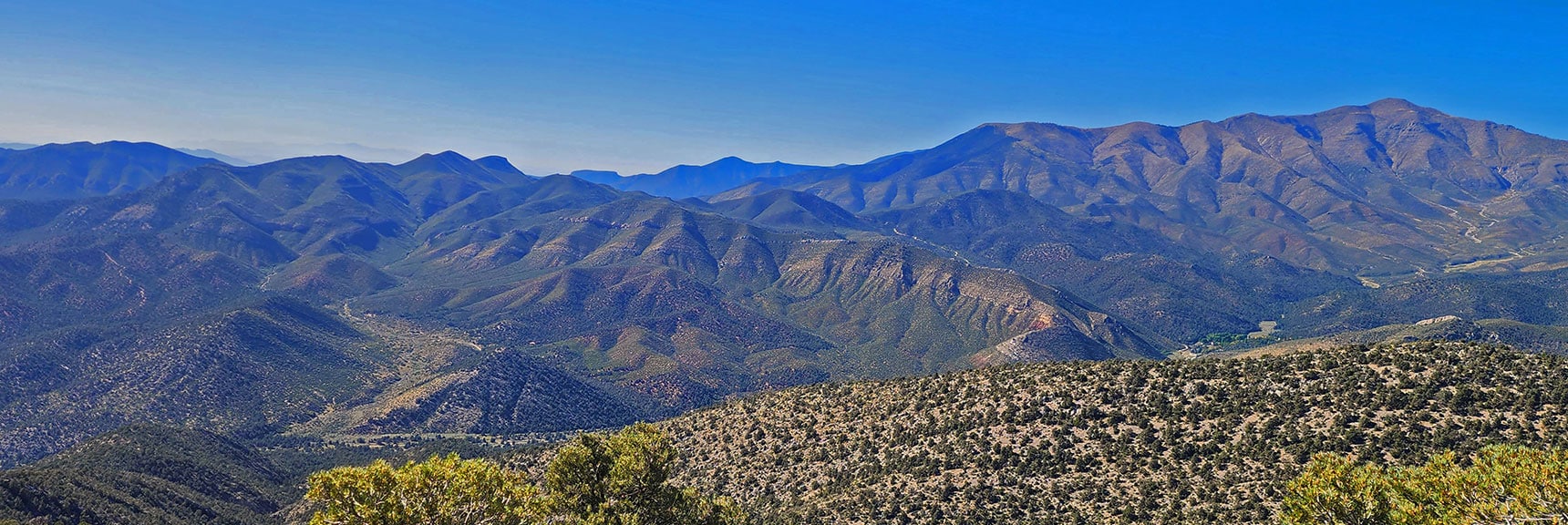 View Northwest Up Lovell Canyon from Torino Ranch to Griffith Peak. | Red Rock Summit Loop | Wilson Ridge | Lovell Canyon, Nevada
