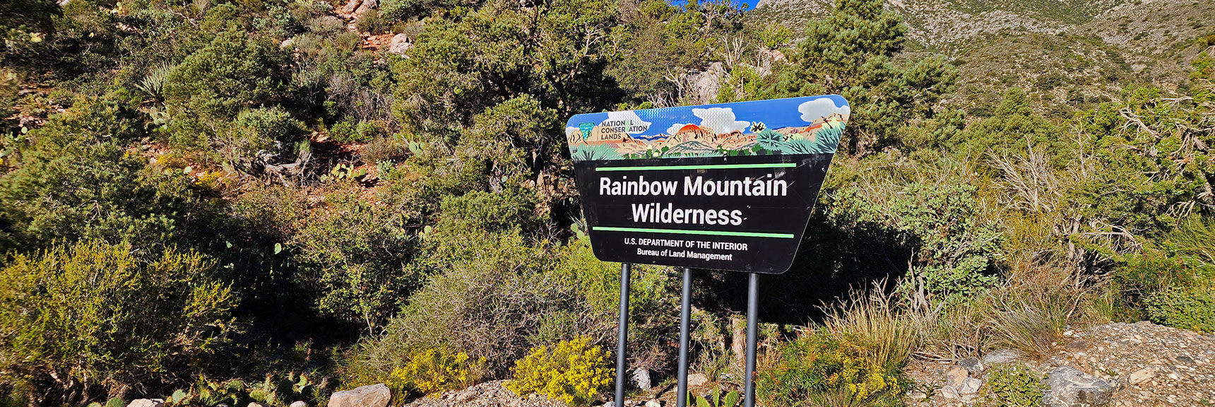 Rainbow Mt. Wilderness: One of Three Major Wilderness Areas Visited Today | Switchback Spring Ridge | Red Rock Canyon, Nevada