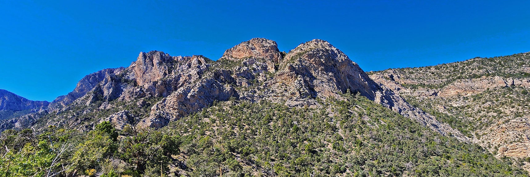 Cliff Area on Wilson Ridge with Potential Summit Access Points | Switchback Spring Ridge | Red Rock Canyon, Nevada