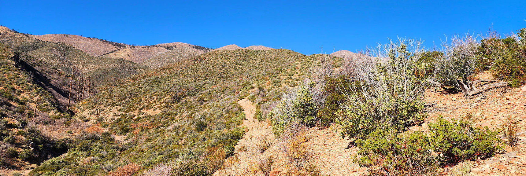 Beyond Wash, Trail Ascends Hills to the North. Sexton Ridge Background. | Schaefer Springs Loop Trail | Lovell Canyon, Nevada