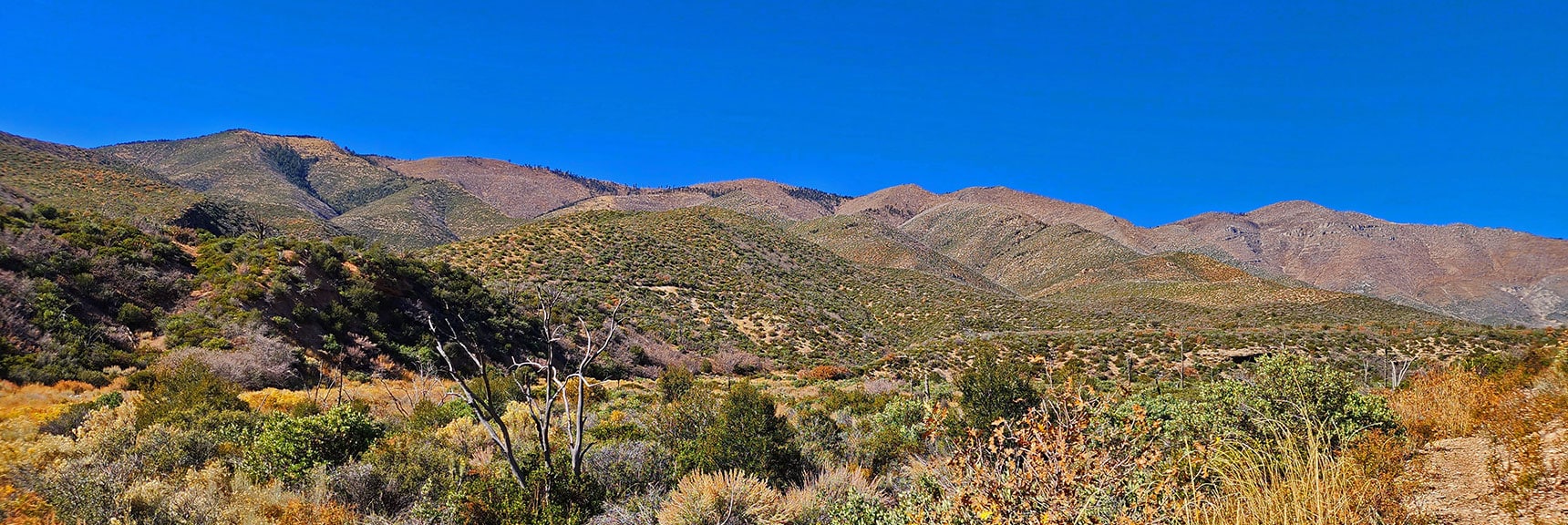 View to Sexton Ridge Across on Canyon's West Side. | Schaefer Springs Loop Trail | Lovell Canyon, Nevada