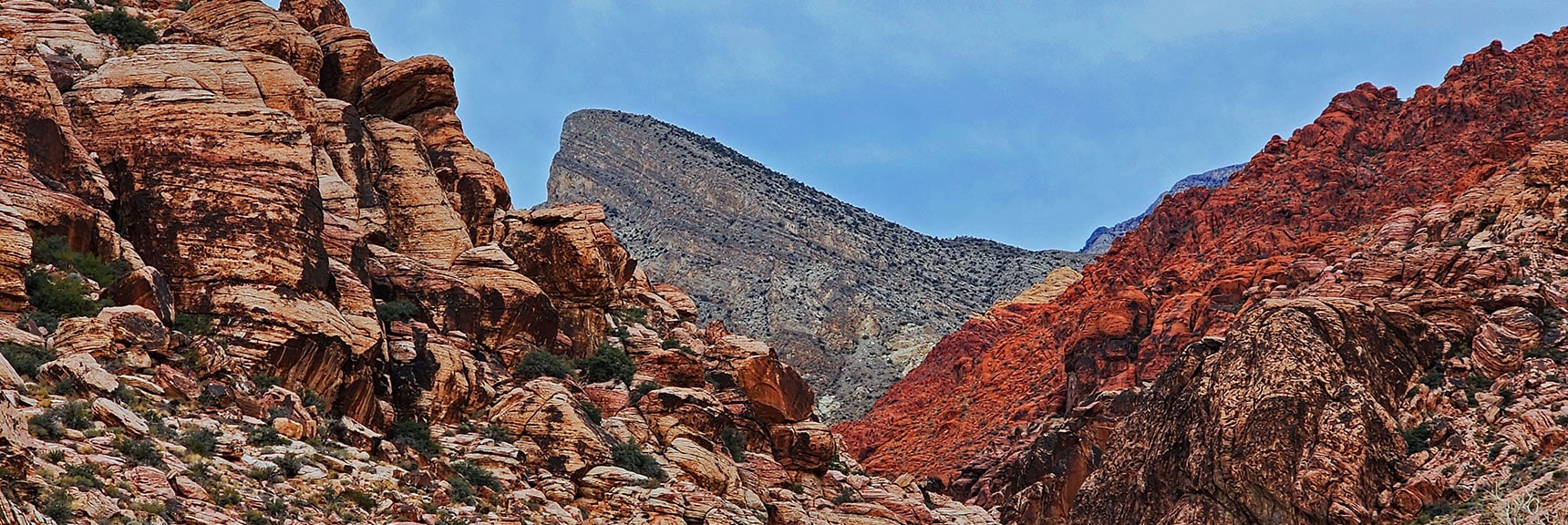 View Up Gateway Canyon to Turtlehead Peak | Damsel Peak Southeastern Slope | Calico & Brownstone Basins, Nevada