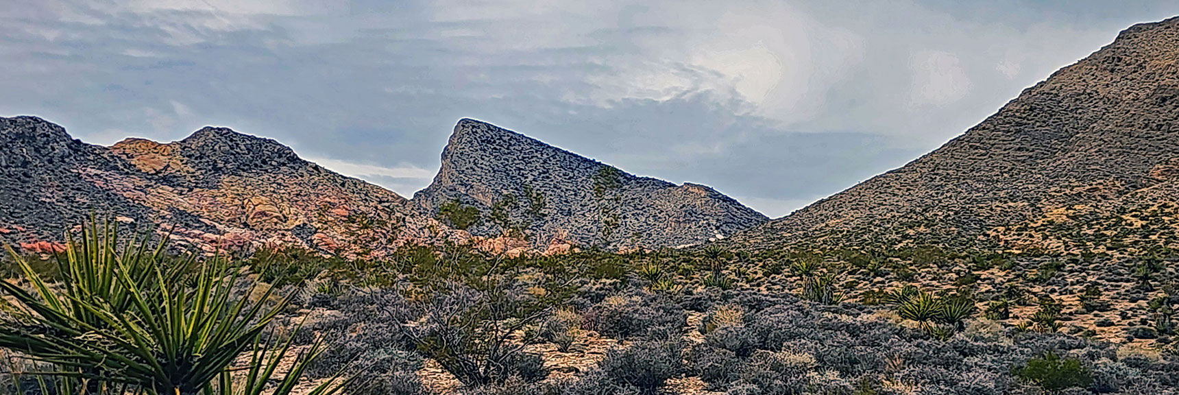 Turtlehead Peak Southeastern View | Damsel Peak Southeastern Slope | Calico & Brownstone Basins, Nevada
