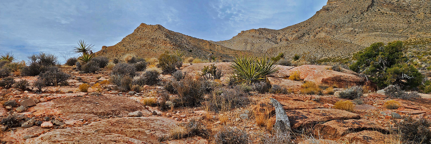 Now Bordering Little Red Rock Area Below Damsel Peak SE Corner | Damsel Peak Southeastern Slope | Calico & Brownstone Basins, Nevada