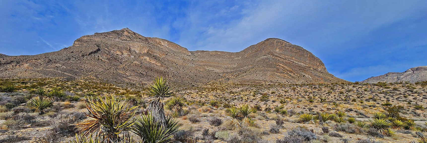 Heading for This Huge Gully Opening on SE Damsel Peak | Damsel Peak Southeastern Slope | Calico & Brownstone Basins, Nevada