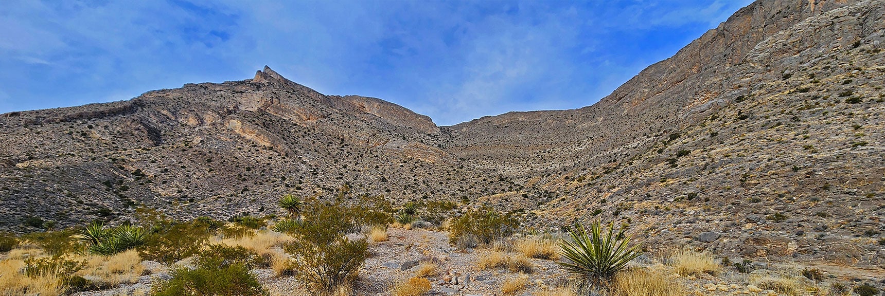 Closing in on SE Gully Opening | Damsel Peak Southeastern Slope | Calico & Brownstone Basins, Nevada