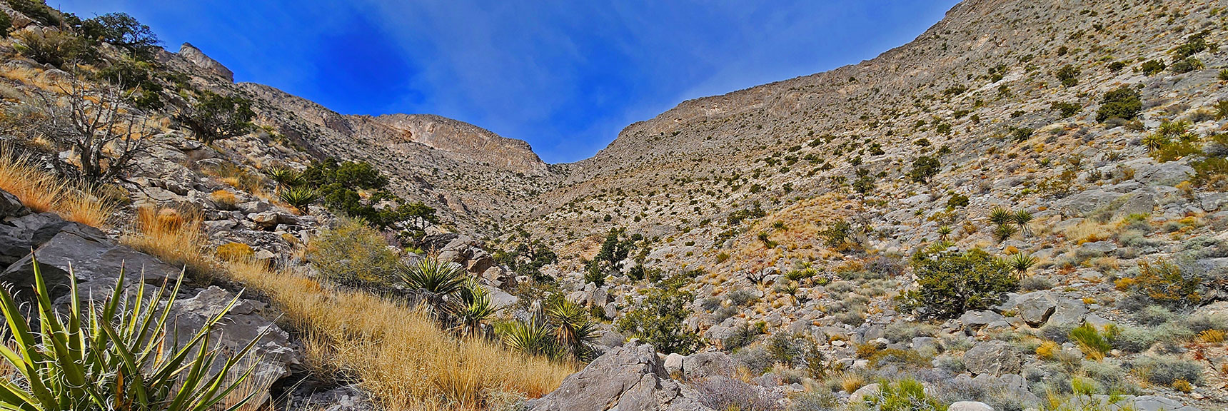 First Descend into Gully. Could Just Take the Slope Upward Here. | Damsel Peak Southeastern Slope | Calico & Brownstone Basins, Nevada