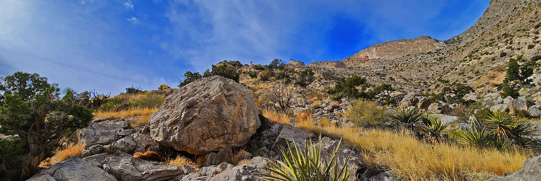 Gully More Complicated Below But Possibly Easier Summit Approach Above? | Damsel Peak Southeastern Slope | Calico & Brownstone Basins, Nevada