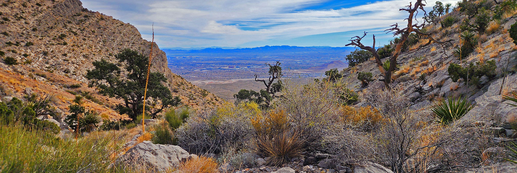 Gully is Rocky, Complicated, Will Ascend the SE Slope | Damsel Peak Southeastern Slope | Calico & Brownstone Basins, Nevada