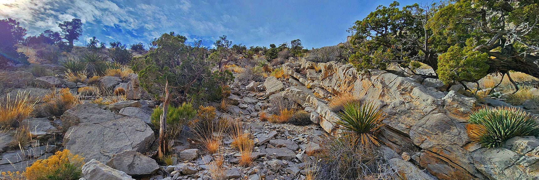 Nice Fairly Gradual Incline Leads to Upper SE Slope | Damsel Peak Southeastern Slope | Calico & Brownstone Basins, Nevada