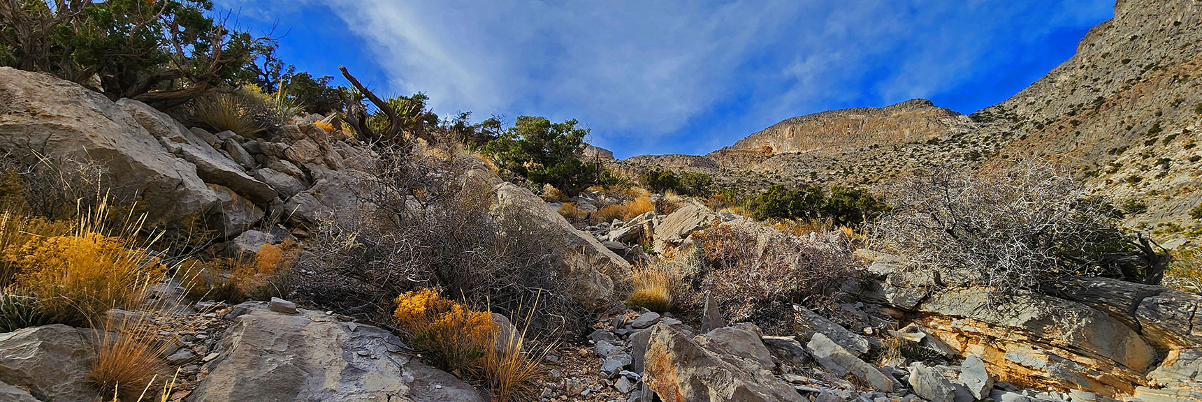 Continuing to Ascend Toward SE Slope's Upper Ridgeline | Damsel Peak Southeastern Slope | Calico & Brownstone Basins, Nevada
