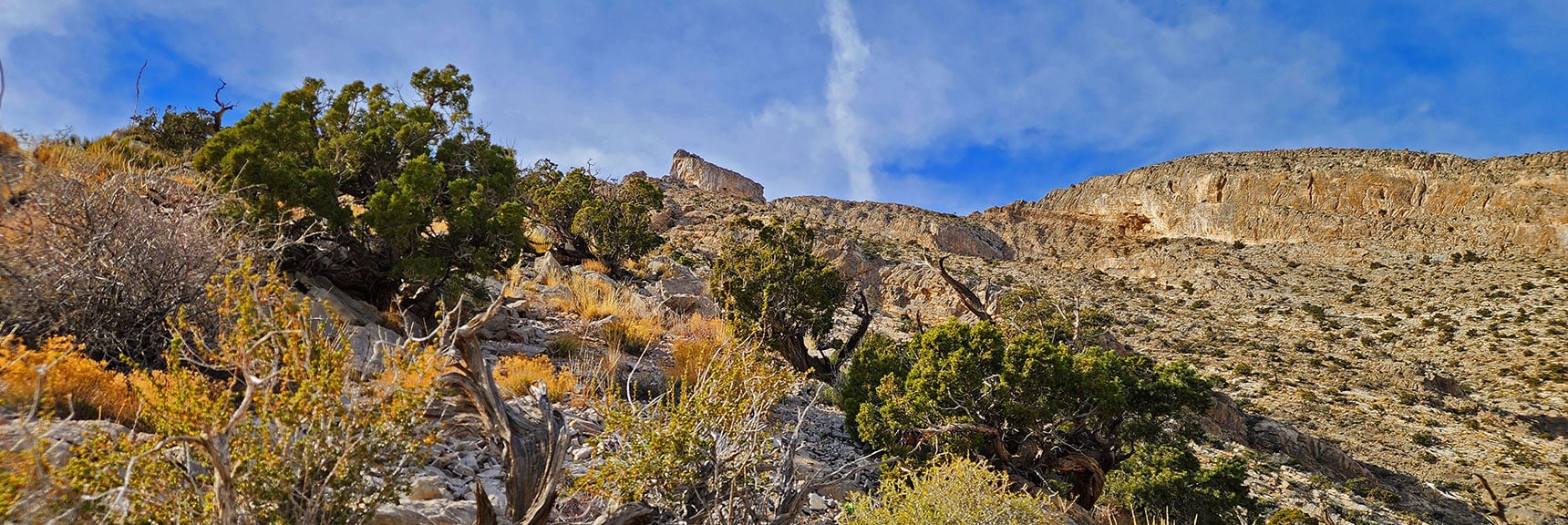 View Up to SE Slope Ridgeline. South Pinnacle Above to Left | Damsel Peak Southeastern Slope | Calico & Brownstone Basins, Nevada