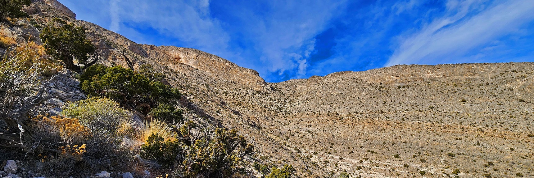 Had I Stayed in the Main Gully, That Summit Approach Looks Good | Damsel Peak Southeastern Slope | Calico & Brownstone Basins, Nevada