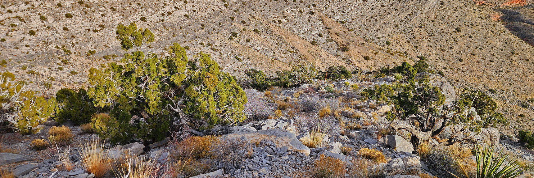 Descending SE Slope Back to Main Gully. | Damsel Peak Southeastern Slope | Calico & Brownstone Basins, Nevada