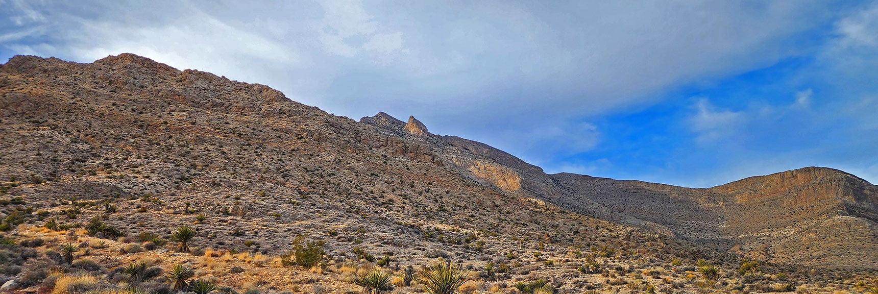 View Back to SE Slope & Pinnacle on Damsel Peak | Damsel Peak Southeastern Slope | Calico & Brownstone Basins, Nevada