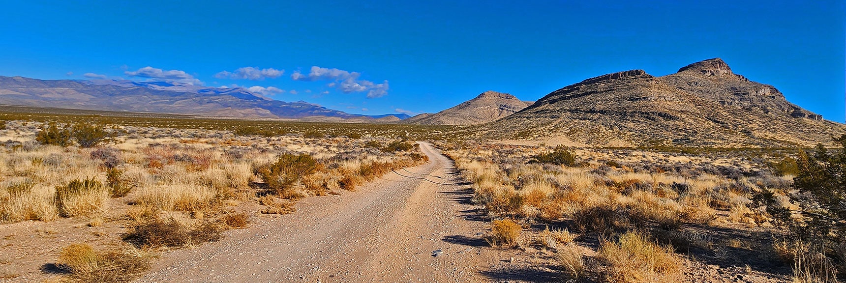 View North Up Westside Rd. Note Distant Mt. Charleston Wilderness. | Landmark Bluff Summit | Lovell Canyon, Nevada