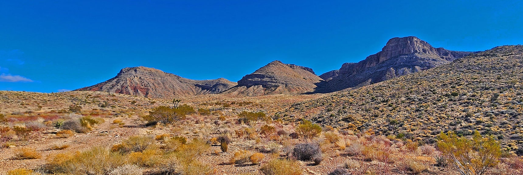 Final 2 Canyons: Chute Canyon to Right, Northwest Canyon to Left. | Landmark Bluff Summit | Lovell Canyon, Nevada