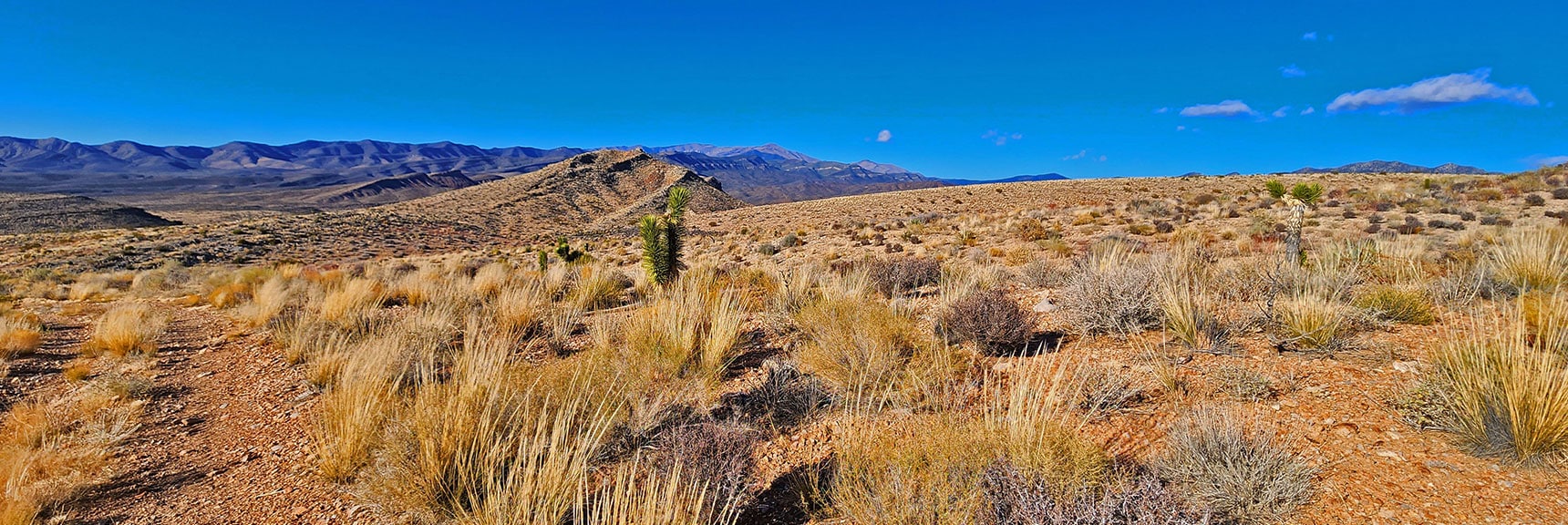 View Northwest from Road Leading into Chute Canyon. | Landmark Bluff Summit | Lovell Canyon, Nevada