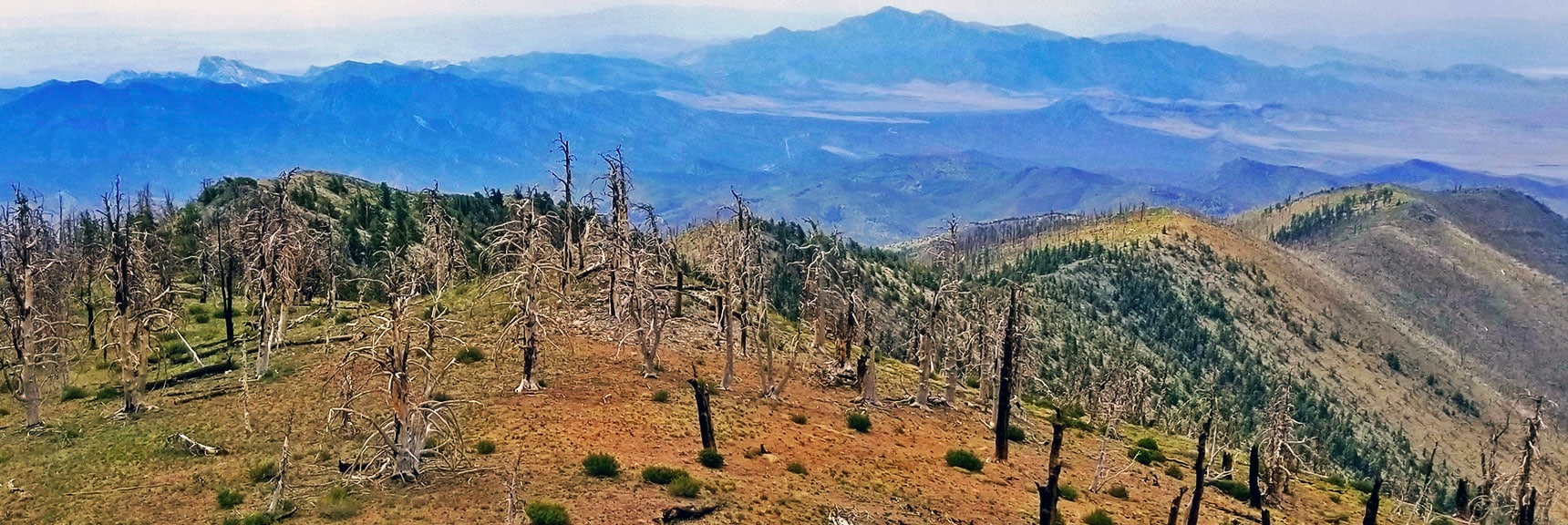 View Down Sexton Ridge from Near Griffith Peak | Lovell Canyon Ridgelines | Lovell Canyon, Nevada