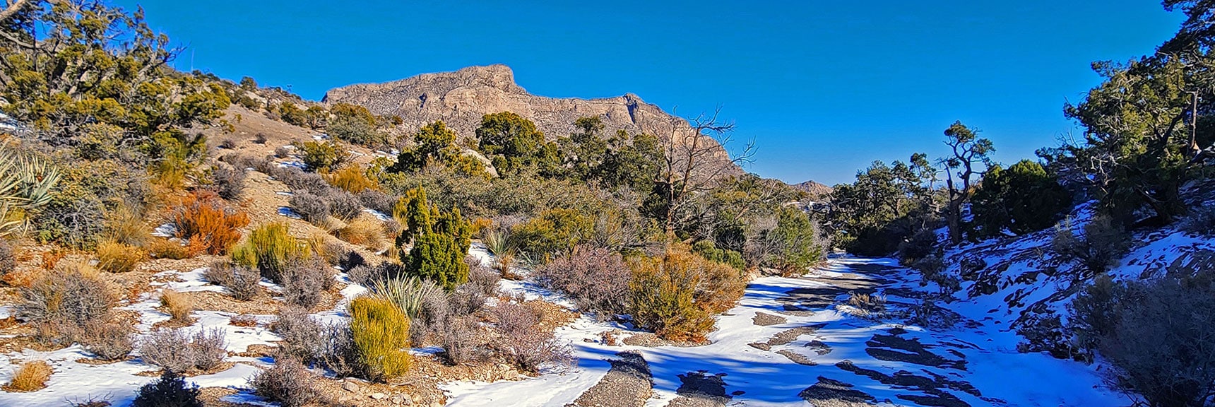 Descending Narrow Gully Below Saddle. Will Stay in Gully Until Stopped by Cliff. | 3 Basin Circuit | Calico Basin, Brownstone Basin, Red Rock Canyon, Nevada