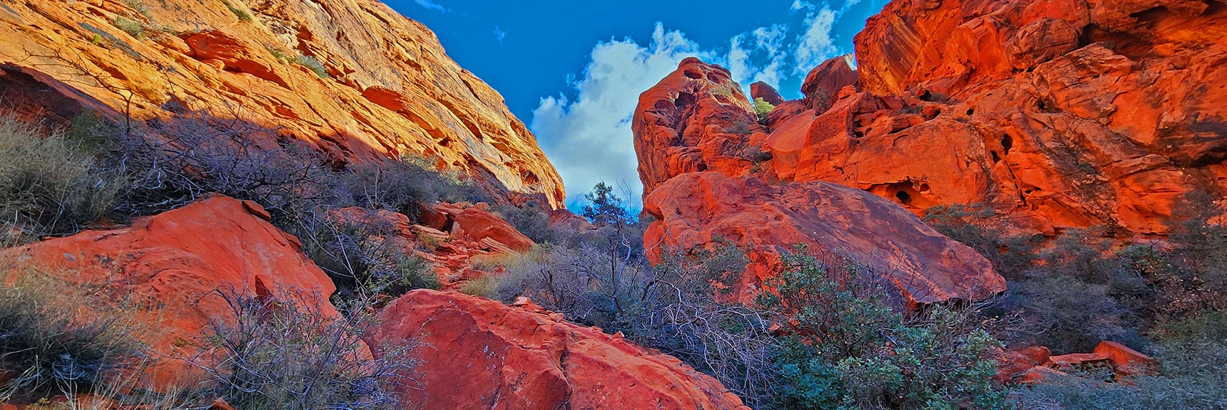 View Back Up Toward Passage Summit. Descent Has a Few Light Class 3 Rock Scrambles | Lower Calico Hills Loop | Calico Basin & Red Rock Canyon, Nevada