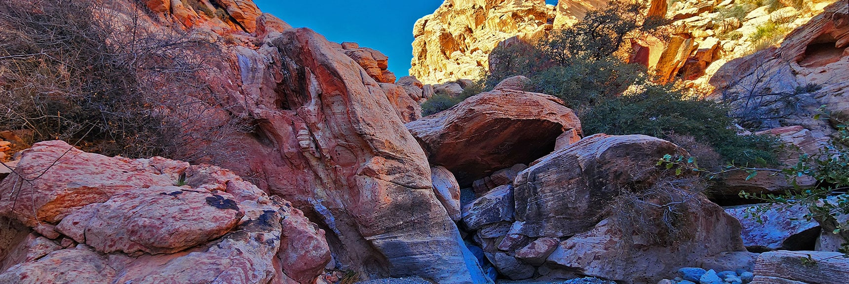 Here's a Brief, Light Class 3 Scramble | Lower Calico Hills Loop | Calico Basin & Red Rock Canyon, Nevada